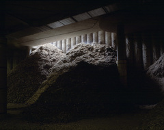 Schnitzellager Stift Klosterneuburg