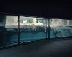 Polarium Tiergarten Schönbrunn