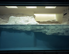 Polarium Tiergarten Schönbrunn