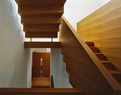 Einfamilienhaus Leschetitzkygasse