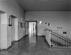 Schule Siedlung Am Freihof