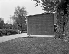 Strandbad Alte Donau