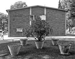 Strandbad Alte Donau