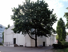 Secession - Umbau