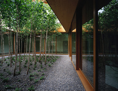 REHAB Basel, Zentrum für Querschnittgelähmte und Hirnverletzte