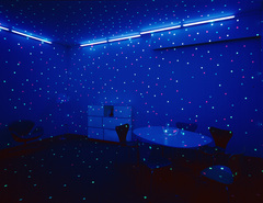 Ausstellung Yayoi Kusuma