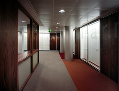 Europa Treuhand Ernst & Young