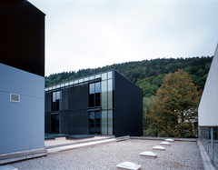 Gymnasium und Realgymnasium