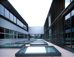 Gymnasium und Realgymnasium