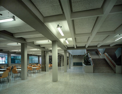 Gymnasium und Realgymnasium