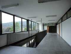 Gymnasium und Realgymnasium