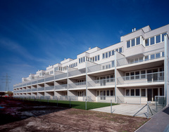 Siedlung Perfektastrasse - Bauteil Krischanitz