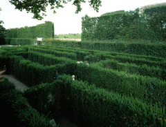 Irrgarten Schloß Schönbrunn