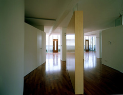 Penthouse Seilergasse, Dachbodenausbau