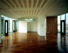 Penthouse Seilergasse