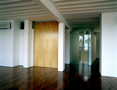 Penthouse Seilergasse, Dachbodenausbau