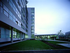 ESG
