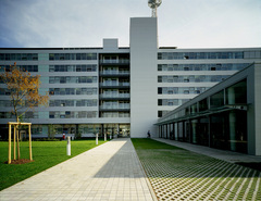 ESG