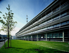ESG