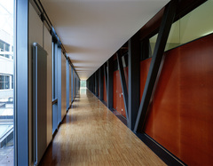 Gymnasium und Realgymnasium