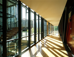 Gymnasium und Realgymnasium