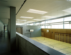 Gymnasium und Realgymnasium