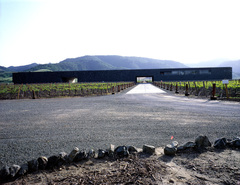 Dominus Winery