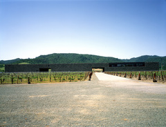 Dominus Winery