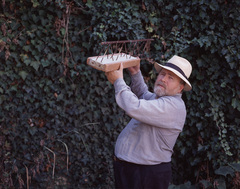 Maria Biljan - Bilger Ausstellungshalle und Privathaus
