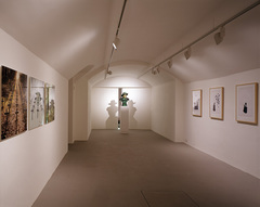 MAM Mario Maroner Contemporary Art Vienna