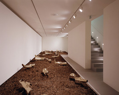 MAM Mario Maroner Contemporary Art Vienna