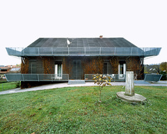 Schwarzer Laubfrosch