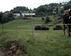 MPREIS Supermarket