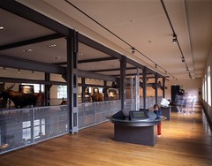inatura, Erlebnis Naturschau Dornbirn / Kunstraum Dornbirn