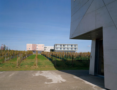 Loisium Hotel