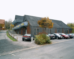 Schwarzer Laubfrosch